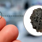 Grãos extraterrestres revelam detalhes da evolução da vida na Terra