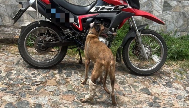 Homem é flagrado arrastando cão em motocicleta, no Centro de