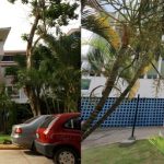 Hospital Universitário realiza mutirão com cerca de 2.200 atendimentos entre
