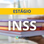INSS abre vagas de estágio para níveis médio, técnico e
