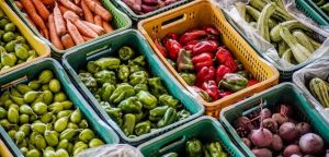 Índice de preços ao produtor cai 0,3% em julho com
