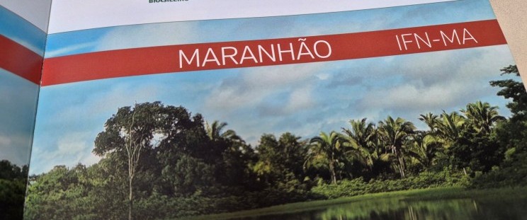 Mais da metade do Maranhão segue coberta por vegetação nativa,