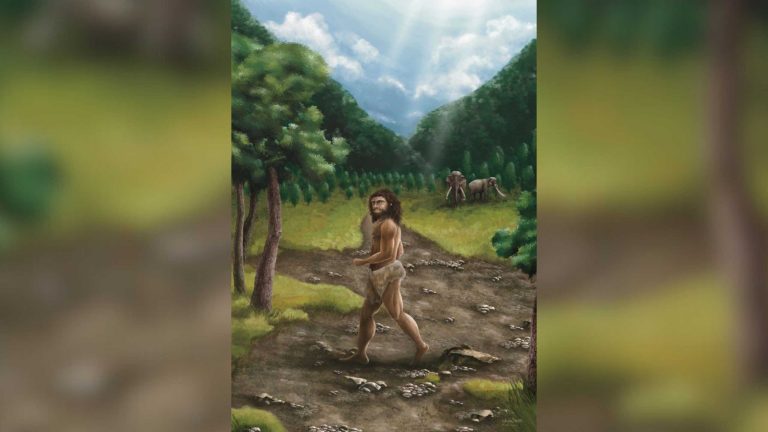 Malária: você pode ser mais resistente à doença graças aos