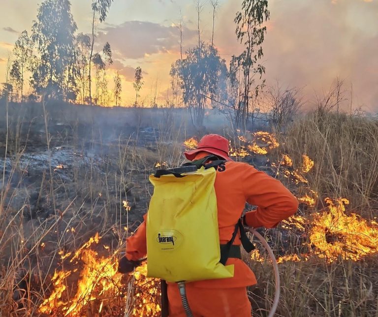 Maranhão firma convênio com BNDES e garante recursos para proteção
