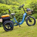 Novo triciclo elétrico é ideal para transportar cargas pesadas