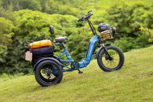 Novo triciclo elétrico é ideal para transportar cargas pesadas