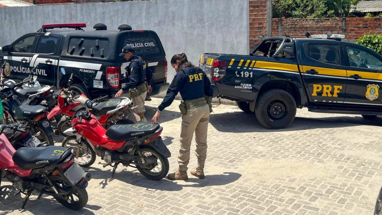 Operação Hircus IX: PRF e Polícia Civil combatem fraudes veiculares