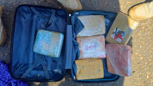 PRF apreende 10kg de maconha com passageira de ônibus na