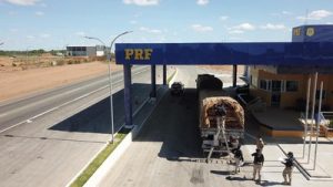 PRF registra maior apreensão de madeira ilegal em rodovias federais