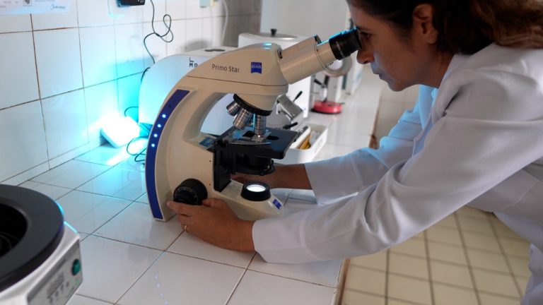 Pesquisadores do Maranhão ganham reconhecimento nacional com bolsas FAPEMA