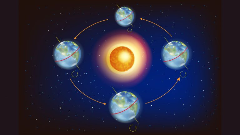 Por que não sentimos as estações do ano em alguns