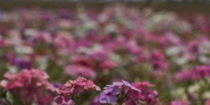 Primavera começa com chegada de frente fria, temporais e fortes