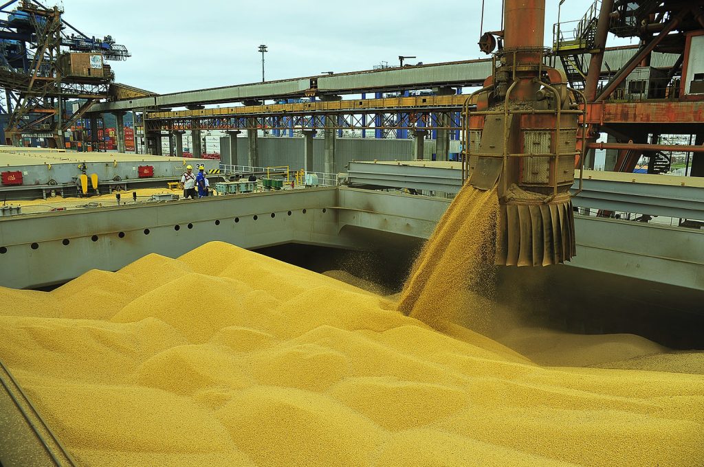Produção de grãos do Maranhão cresce e chega a 8,79