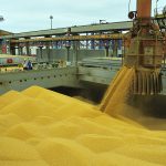 Produção de grãos do Maranhão cresce e chega a 8,79