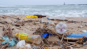Produção de plástico reciclado cresce 7,8% em 2024 e chega