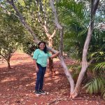 Produtora rural do MA sai do cultivo manual de goiaba