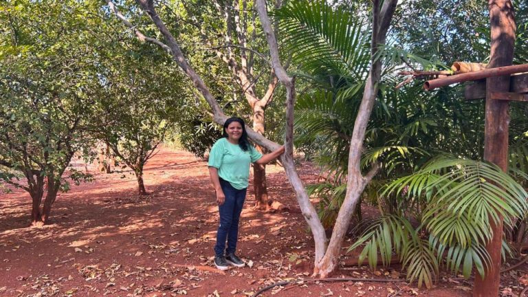 Produtora rural do MA sai do cultivo manual de goiaba