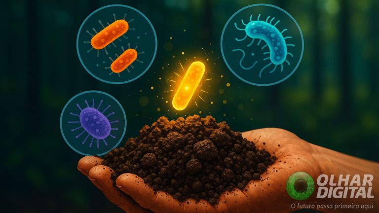 Punhado de terra escondia antibióticos contra superbactérias, revela estudo