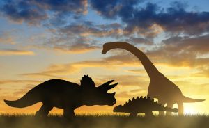 Quanto tempo vivia um dinossauro? Spoiler: é menos do que