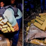Quase uma tonelada de droga é apreendida em área de