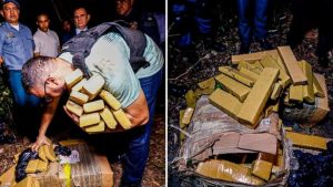 Quase uma tonelada de droga é apreendida em área de