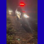 Quatro corpos são encontrados empilhados em área de mata