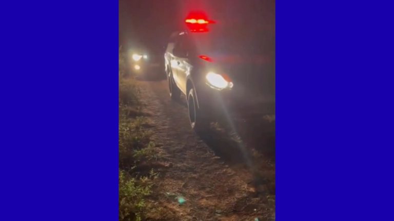Quatro corpos são encontrados empilhados em área de mata