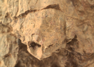 Rover da NASA vê “tartaruga saindo do casco” em Marte