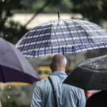SP: Chuva, ventos fortes e queda de árvores deixam 900
