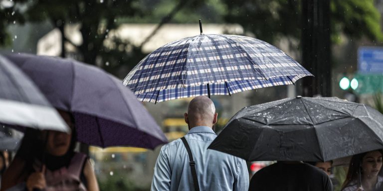 SP: Chuva, ventos fortes e queda de árvores deixam 900
