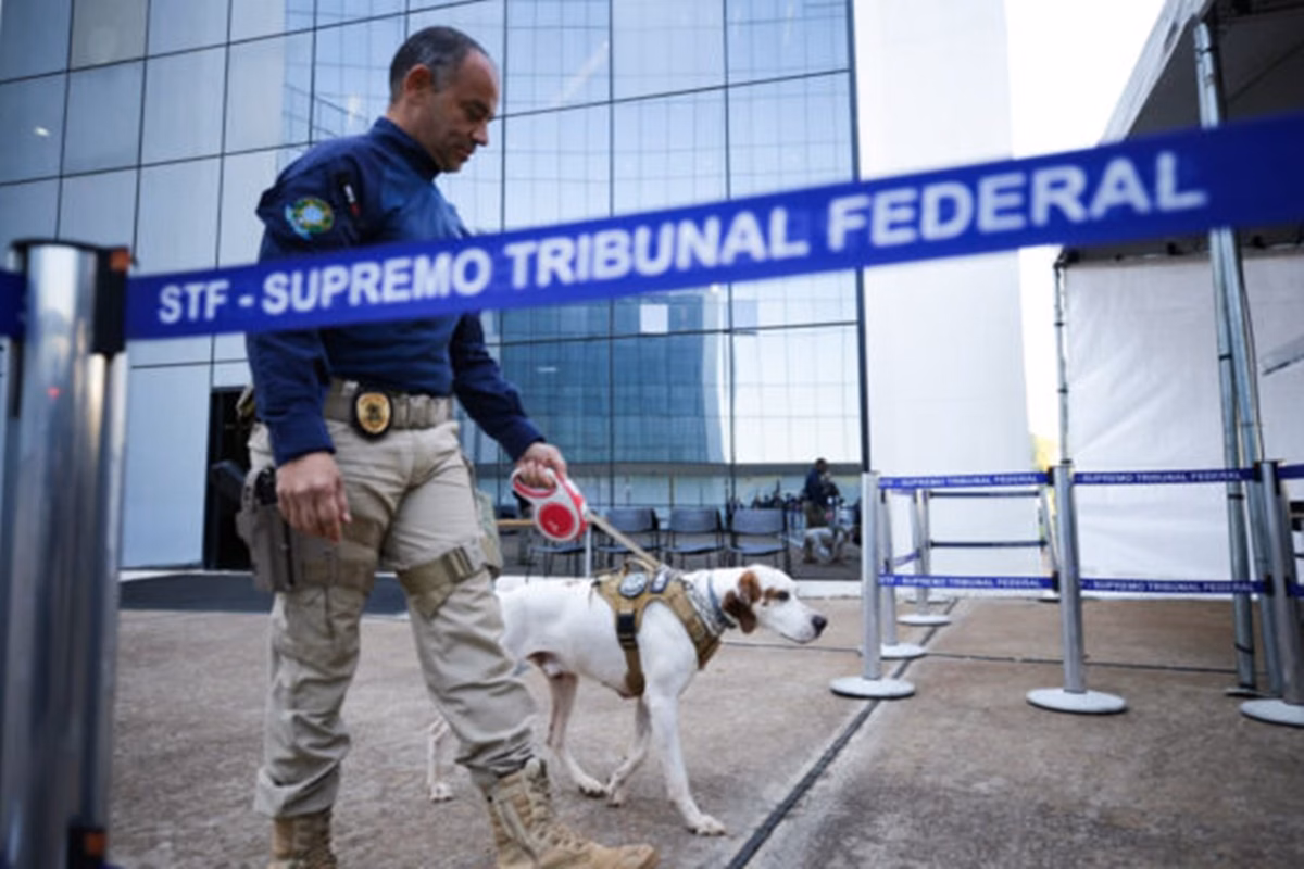 STF reforça segurança com cães farejadores no julgamento de Bolsonaro