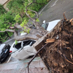 Temporal derruba árvores, causa alagamentos e 1,7 milhão de pessoas