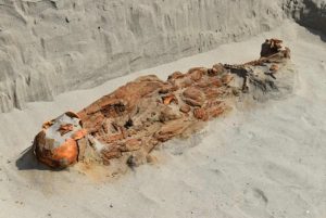 Tumba de mais de 2 mil anos intriga arqueólogos no