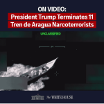 Venezuela diz que EUA usou IA em vídeo de ataque