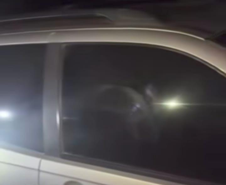 Vídeo: corpo em decomposição é encontrado dentro de carro abandonado