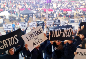 concessionária é acusada de destruir patrimônio
