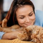 6 dicas científicas para conquistar seu gato