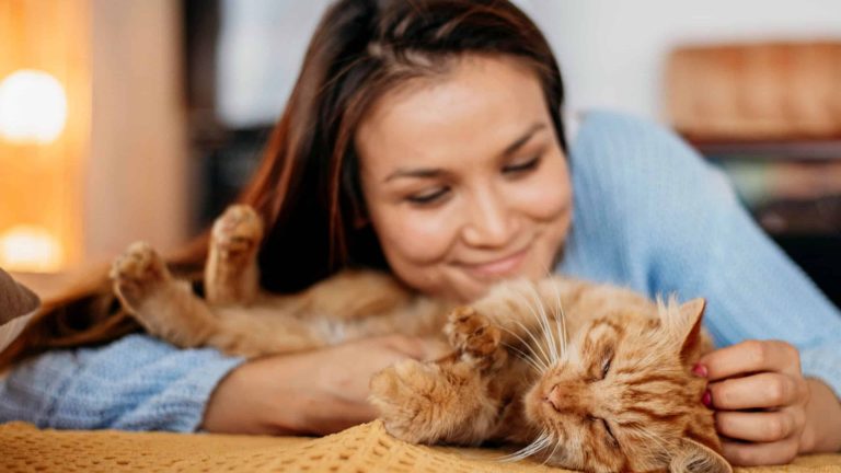 6 dicas científicas para conquistar seu gato