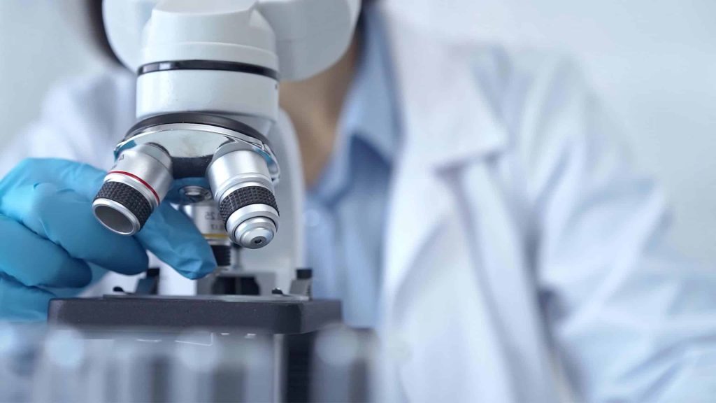 8 animais microscópicos para você conhecer