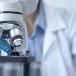 8 animais microscópicos para você conhecer