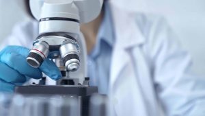 8 animais microscópicos para você conhecer