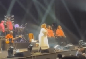 Alcione homenageia Alexandre de Moraes em show e plateia celebra: