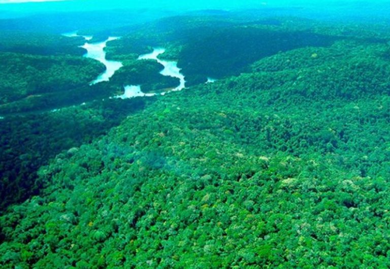 Amazônia e Cerrado registram queda de 11% no desmatamento