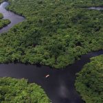 Área desmatada na Amazônia é a menor em 11 anos,