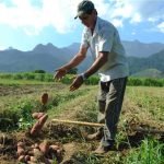 "Birô agro" promete destravar crédito para produtores rurais