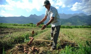 "Birô agro" promete destravar crédito para produtores rurais
