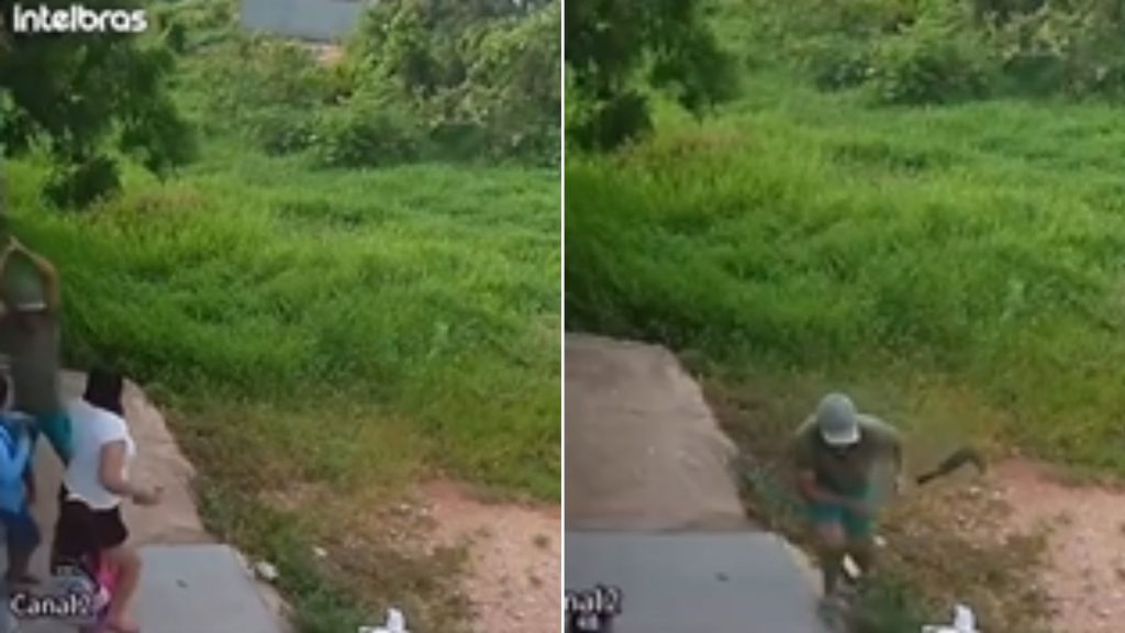Câmeras flagram mulher morta a golpes de foice na frente