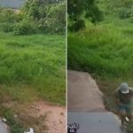 Câmeras flagram mulher morta a golpes de foice na frente