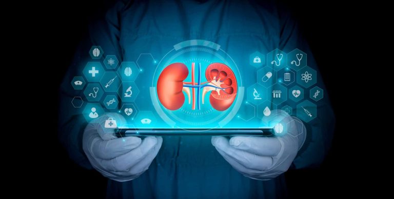 Como evitar pedras nos rins? Veja o que diz a