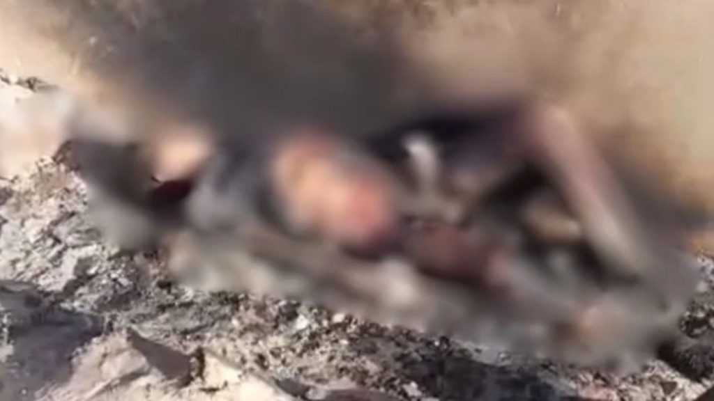 Corpo carbonizado é encontrado carbonizado em São Luís